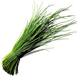 CEBOLINHO FINO REGIONAL