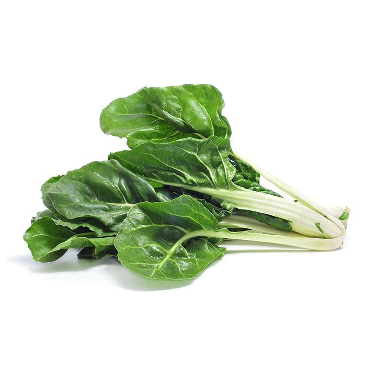 ACELGA BIO MADEIRA