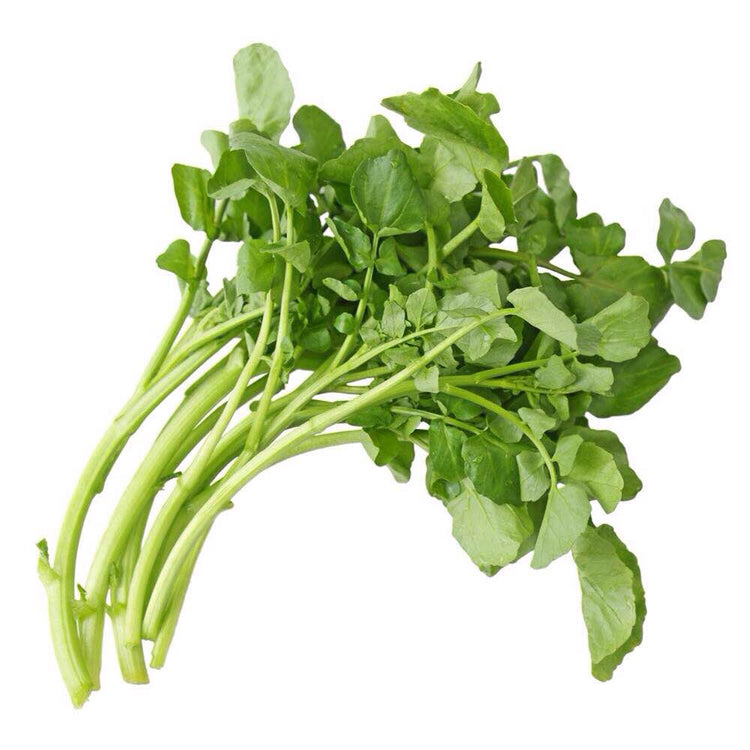 AGRIÃO BIO MADEIRA