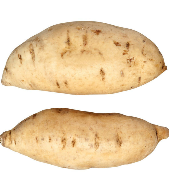 BATATA DOCE AMARELA MADEIRA