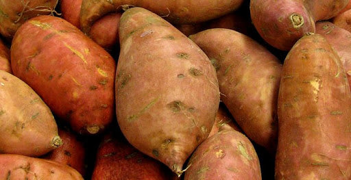 BATATA DOCE CENOURA MADEIRA