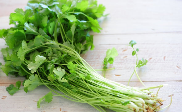 COENTROS BIO MADEIRA