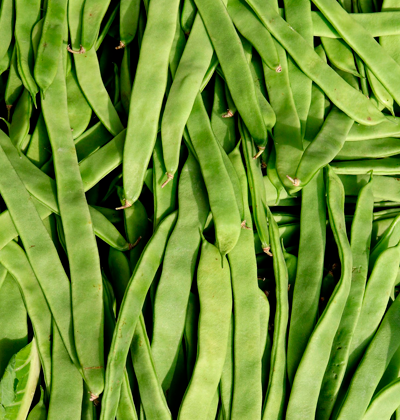 FEIJÃO VERDE MADEIRA