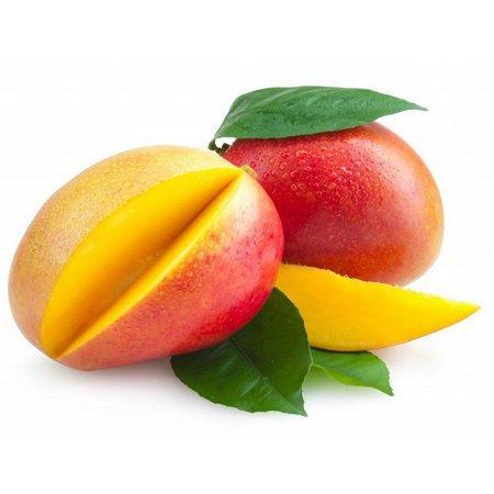 MANGO FAJÃ DOS PADRES BIO