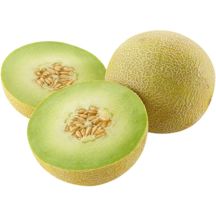 MELOA GALIA