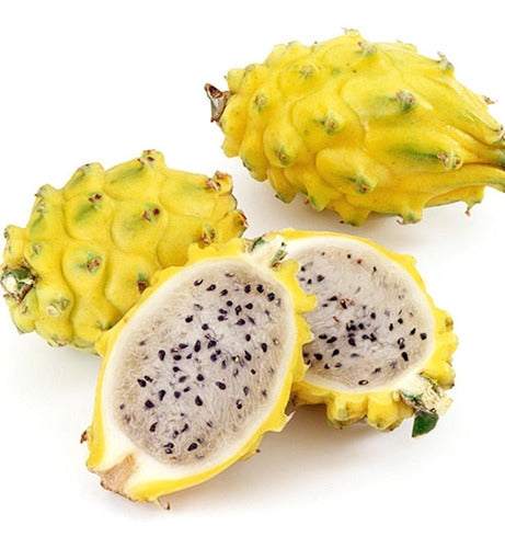 PITAYA AMARELA