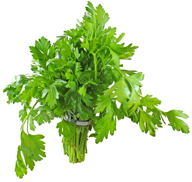 SALSA BIO MADEIRA