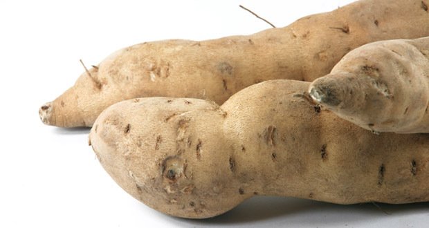 BATATA DOCE INGLESA MADEIRA