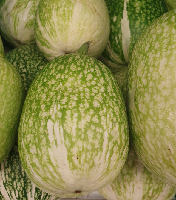 ABÓBORA MOGANGA MADEIRA