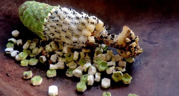 Banana Ananás - Fruto Delicioso - Monstera Deliciosa - Consolo de Senhora