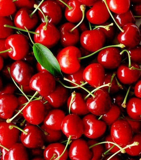 CEREJA
