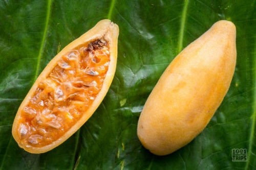 MARACUJÁ BANANA REGIONAL