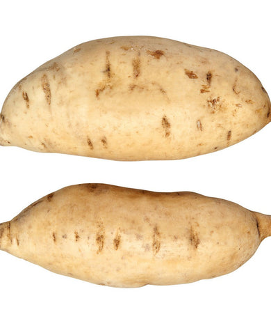 BATATA DOCE AMARELA MADEIRA