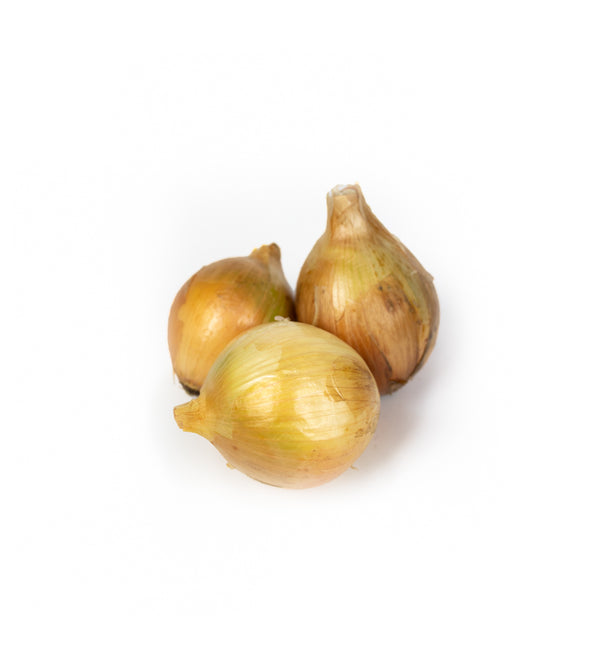 CEBOLA MADEIRA PORTO da CRUZ