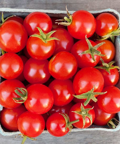 TOMATE CHERRY MADEIRA
