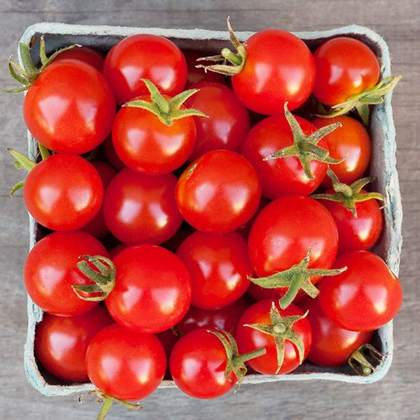 TOMATE CHERRY MADEIRA
