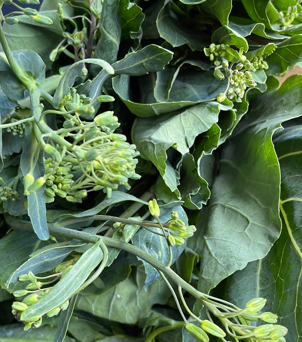 COUVE GRELOS / ESPIGOS MADEIRA *sujeito a disponibilidade