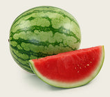 melancia-fruteveg